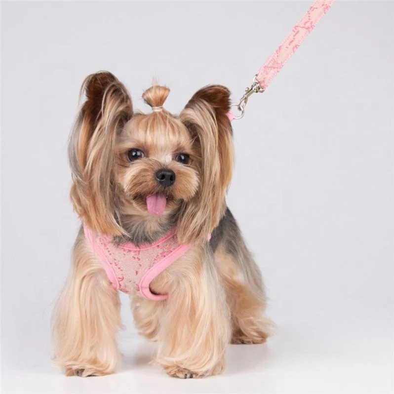 

2022 Cute Pink Girl Dog Harnesses Lead Leash 2PCS Sets Short Leg Dogs Collar Lap Dog Collar Set