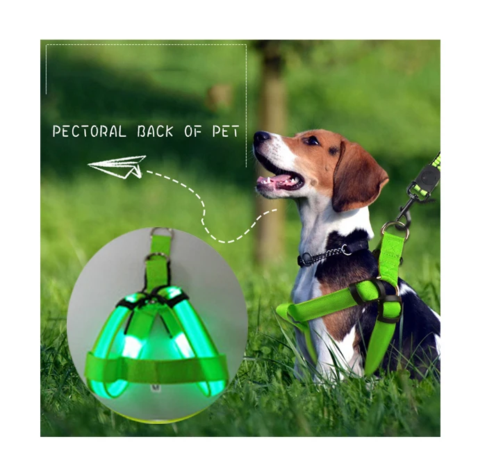 

2021 Designers Pet Products Dog Harness LED Light Pet Vest Soft Pet Nylon Adjustable Dog Harness Leash Collar Set, Blue,red, pink, yellow, green,orange, colorful