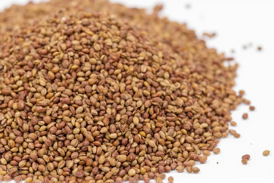 toasting brownseed