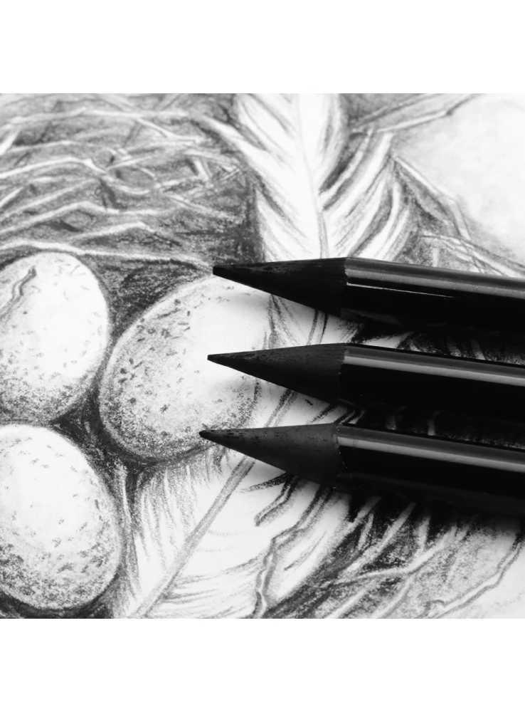 
Mont Marte Woodless Charcoal Pencils 3pce 