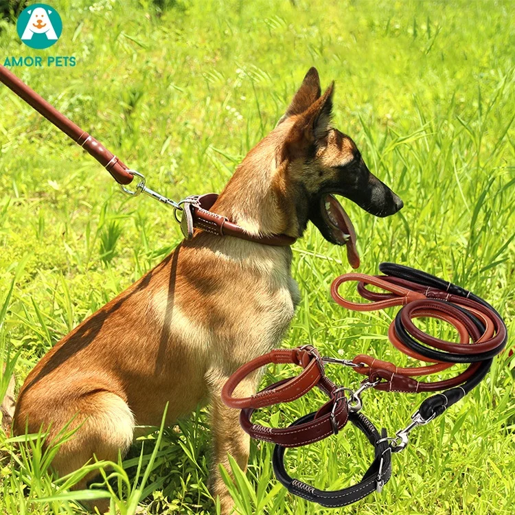 

Leashes for Dog Vegan Leash Braided Lead Straps Rope And Leather Dog Collar With Handle