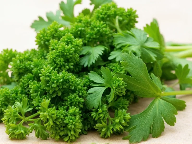 Parsley Substitutes: Best Cooking Alternatives