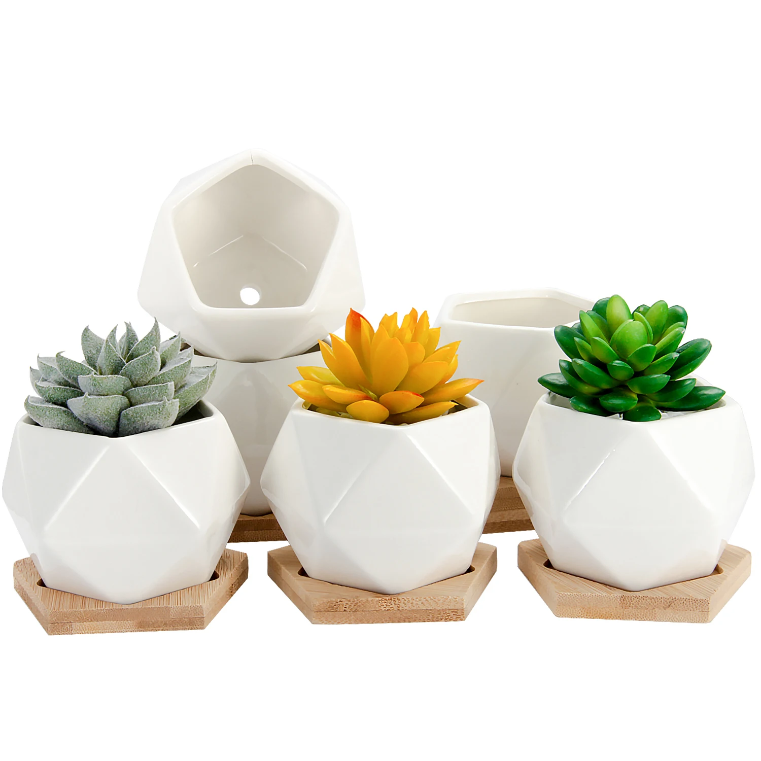 

Succulent Flower Pot ceramic indoor plant pots Mini Flower planter Simple Design with Bamboo Tray for Cactus, Herbs, Home, White