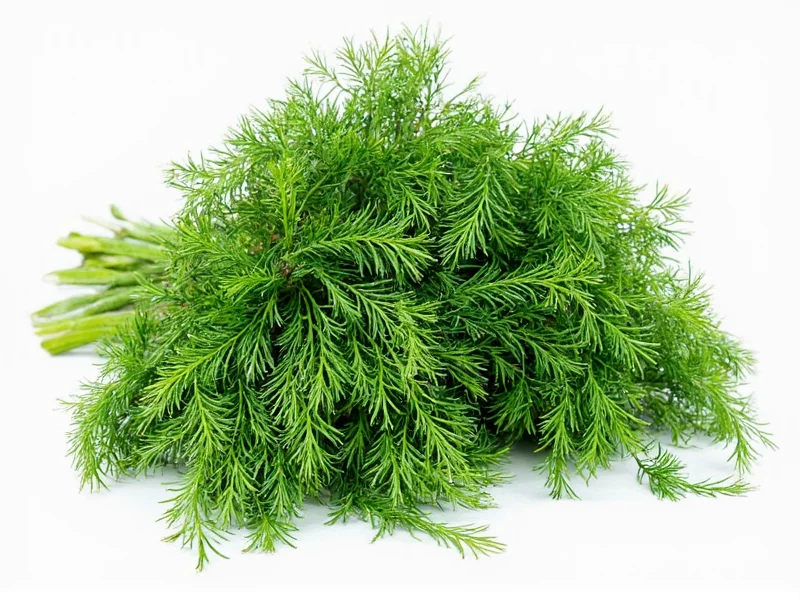 Dill Leaves Benefits: 7 Science-Backed Health Advantages