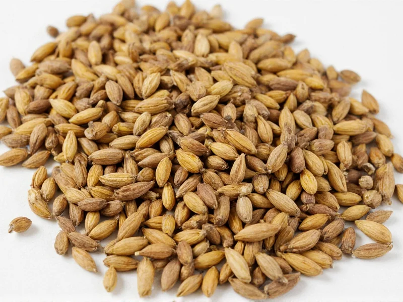 Best Cardamom Substitutes: Spices Similar to Cardamom