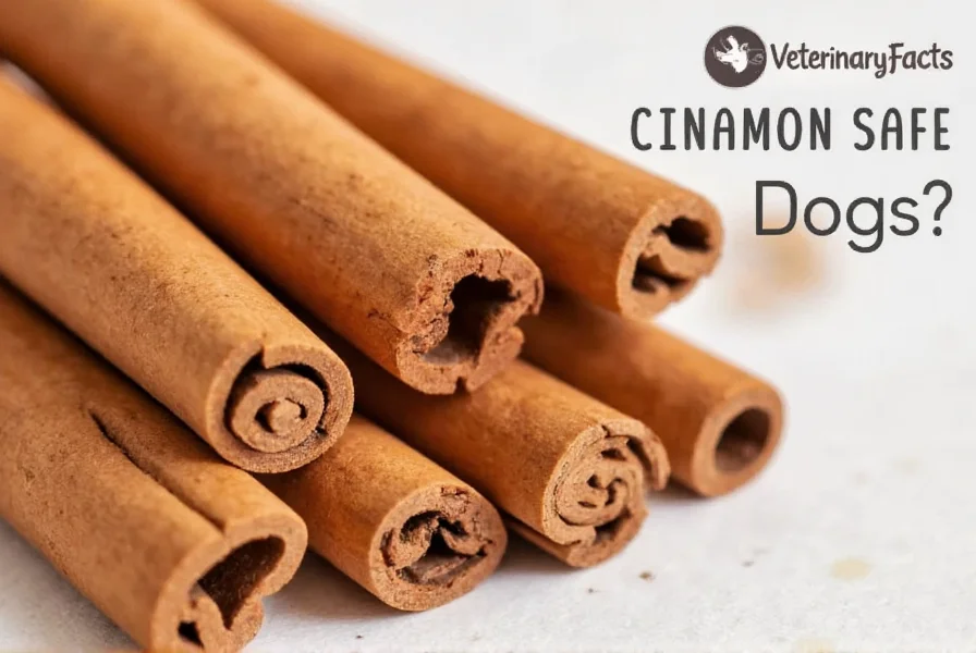 Close-up of cinnamon powder next to dog bowl showing safe versus unsafe amounts for dogs
