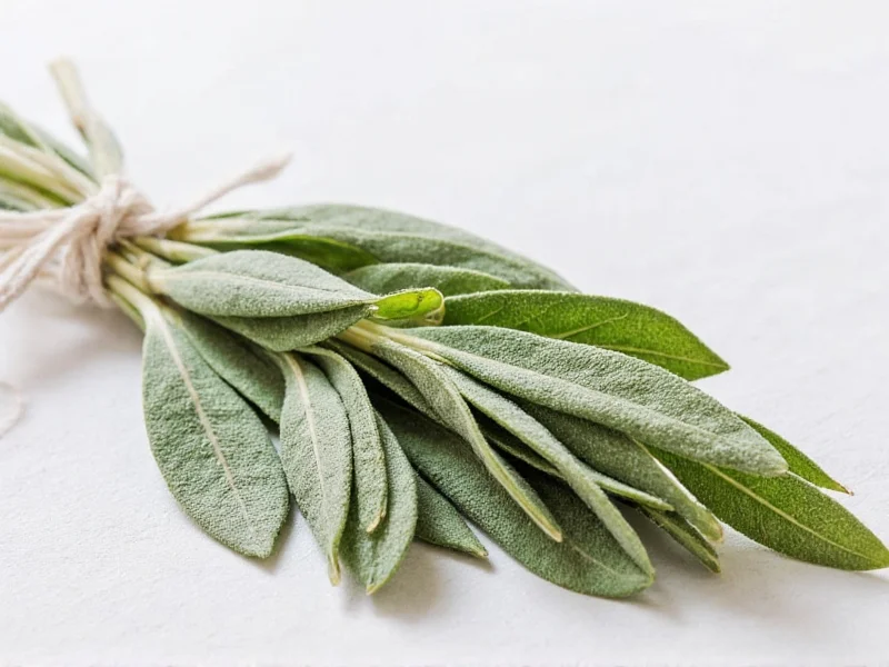 Sage Fresh to Dry Conversion Ratio Explained
