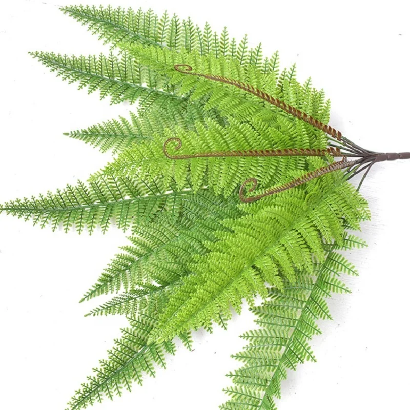 fern-leaf (3).jpg
