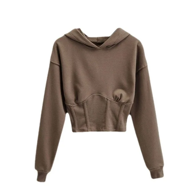 

2022 Spring And Autumn Women'S Short Sweater Slim Waist Pullover Long Sleeve Hooded Sweater, Black,khaki