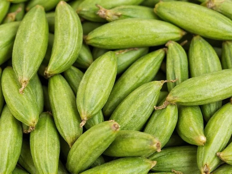 Cardamom Uses: Culinary, Medicinal & Traditional Applications