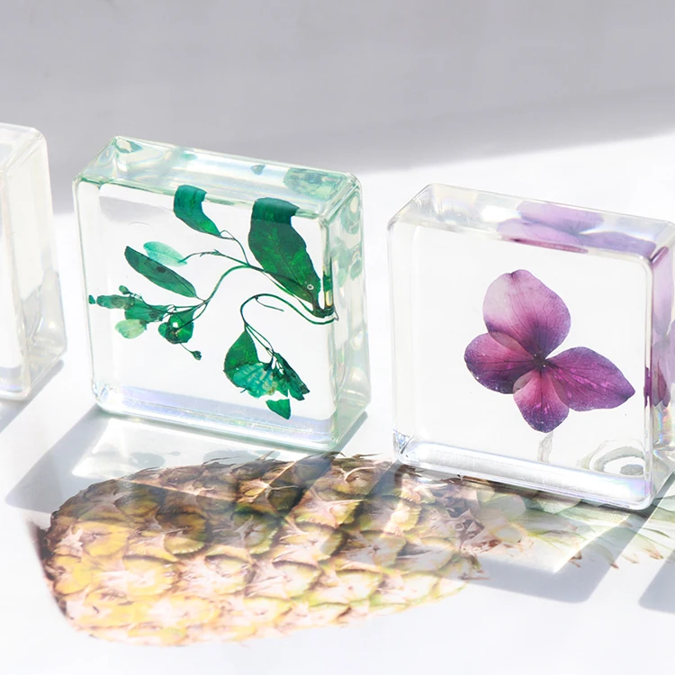 

Custom Rectangle Transparent Resin Plant Craft Paperweight Flower Resin Plant Specimen Paperweight