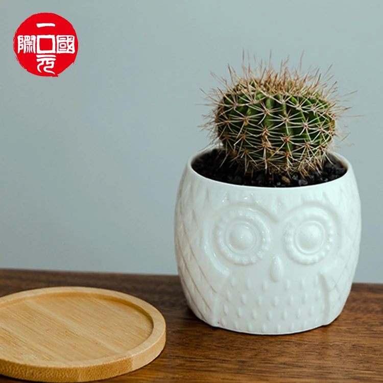 

One dollar Factory direct new design cheap mini cute animal shape ceramic flower plant pot for home and garden decoration