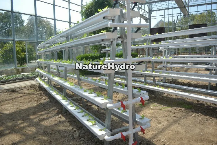 NatureHydro (4).jpg