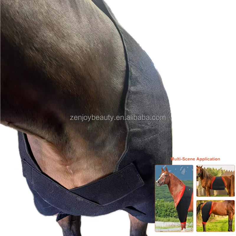 2026 OEM ODM Equine 660nm 850nm Horse Red Therapy Light Back Blanket LED Infrared Red Light Therapy for Horse Pain Relief