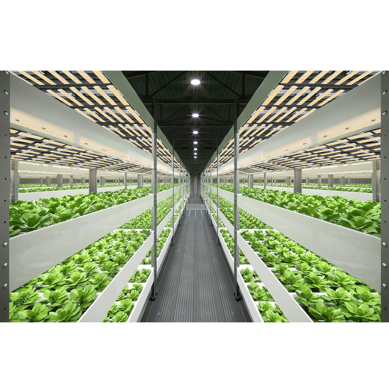 

US Stock US Free Shipping SUNRAISE BAR2400 Dimmable Plant Light IR UV Led Grow light Bar