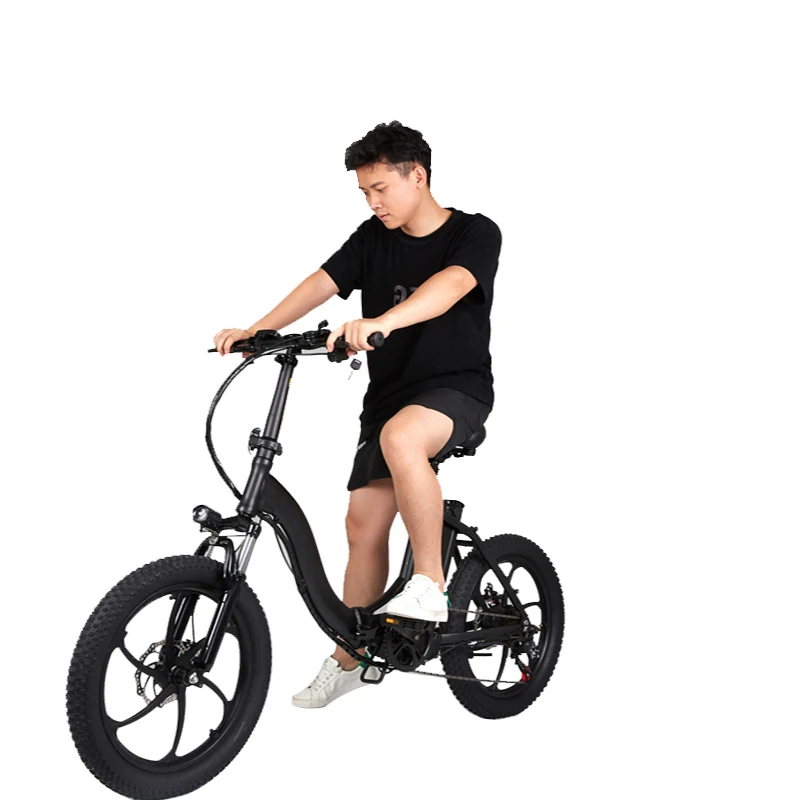 

20inch off road Electric Fat Tire Bike Made In China Vintage Electric Bicycle E Bike 48v 350w 10.4ah Electric Bike, Black