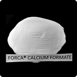 Calcium formate