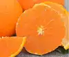 Wholesale China Iqf Frozen Peeled Mandarin Orange/Aiyuan
