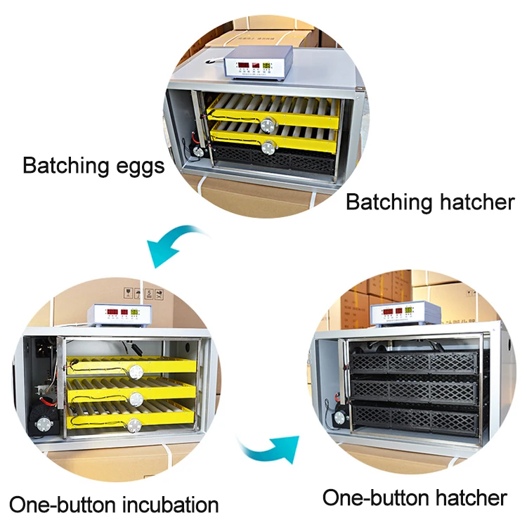 180 egg incubator-15.jpg
