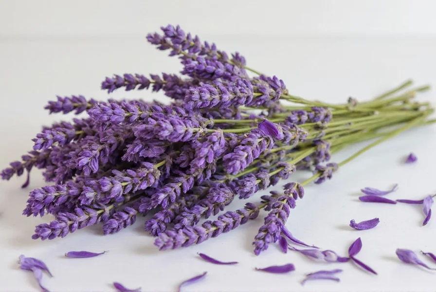 Edible lavender
