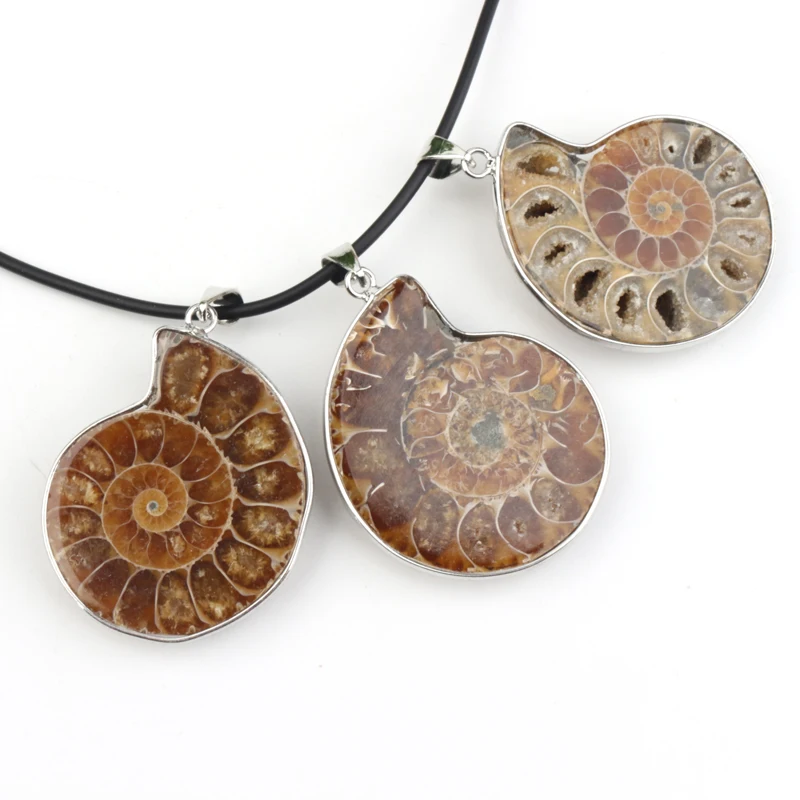 

Wholesale Fossils Conch Pendant Ammonite couple Pendant For Necklace