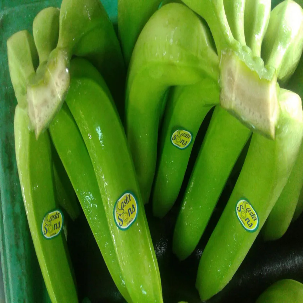 
Bananas Green and Fresh 