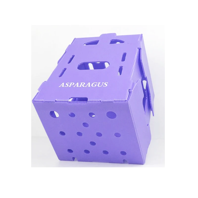 plastic packing box manufacturers