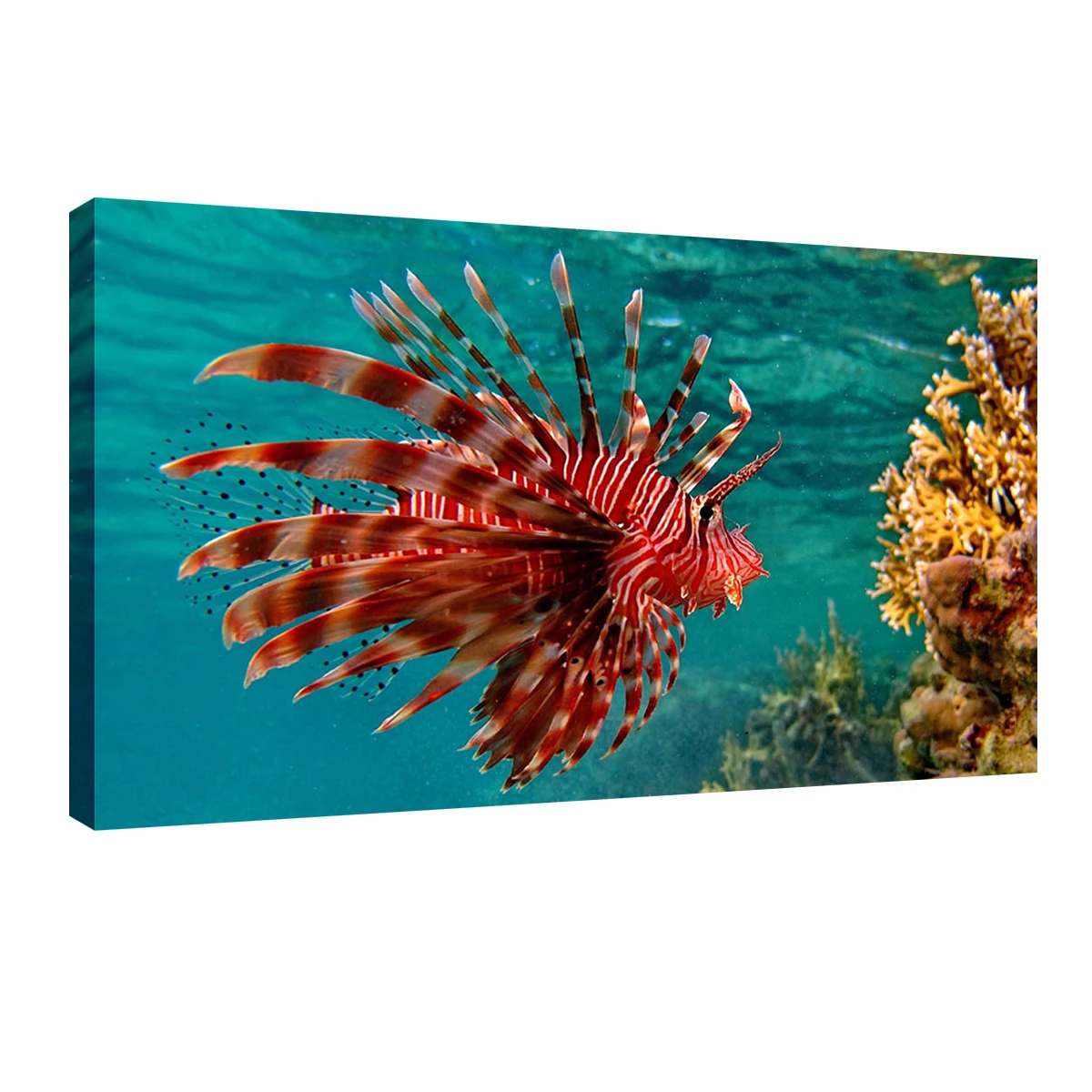 

Sea Fish Wall Art Bedroom Decor Ocean Scene Canvas Prints Home Paintings Tropical Ocean View Wall Decor for Living Room