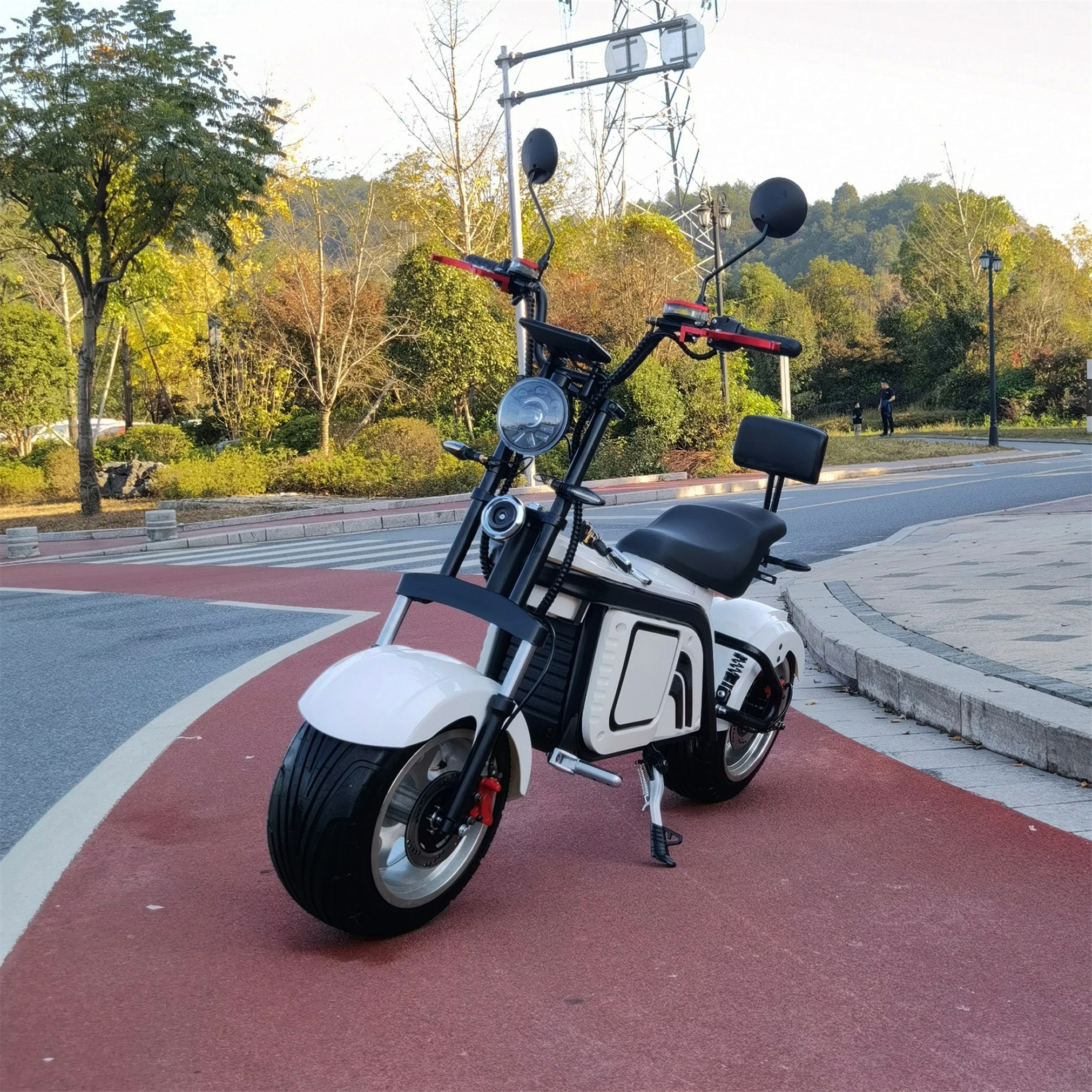 

Cost-Effective Perfect Quality 1500W Fat Tire Electric Motorcycle Scooter European Warehouse Citycoco