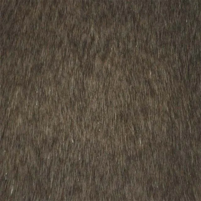 G5 B.jpg