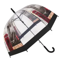 

RST cheap wholesale rain clear umbrella free sample Transparent Dome Birdcage Umbrella