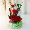 Glass Dome Glass Bottled Preserved Flowers Decorative Lamp Lighting Warmth for Home