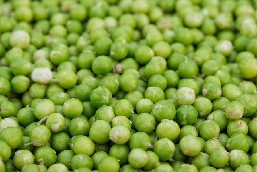 Comparison of different sprout varieties including clover, alfalfa, broccoli, and mung bean sprouts