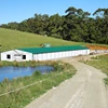 Light Steel Structure Construction Materials Chicken Poultry Breeding House