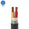 TDDL PVC Insulated low voltage power Cable 2 core stranding circular conductor steel wire armored