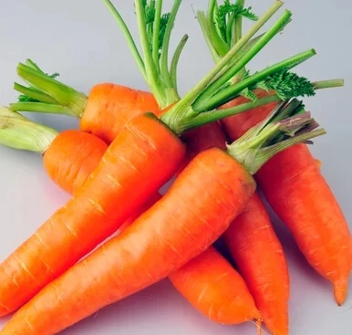 
Fresh Vegetable Chinese Radish /fresh carrot with Lowest Price 