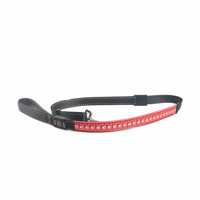 

High Quality USB Led Flashing Pet Dog Safety Leash pet lead with LED, Red green blue black