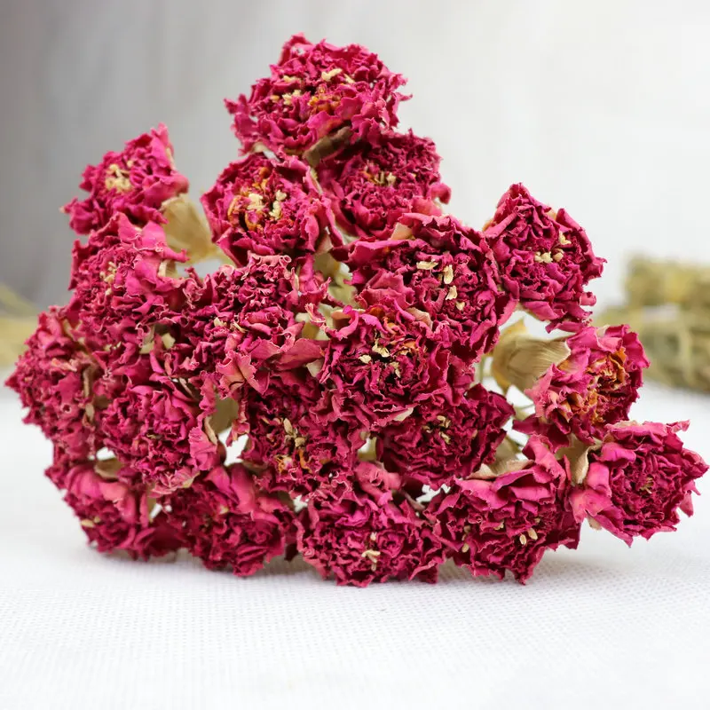 Classical Style Dried Carnation Flowers Dianthus Caryophyllus For Home Decorations Buy