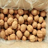 New crop High quality cheap price raw walnuts broken walnuts kernels