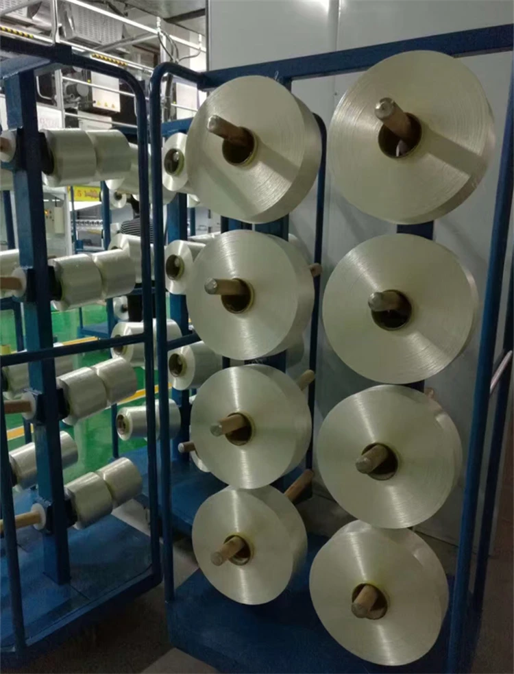 3702864145_404962670