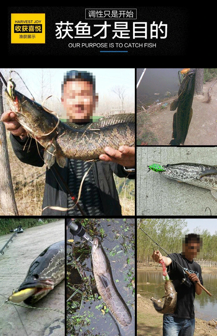 fishing frog lure (5).jpg