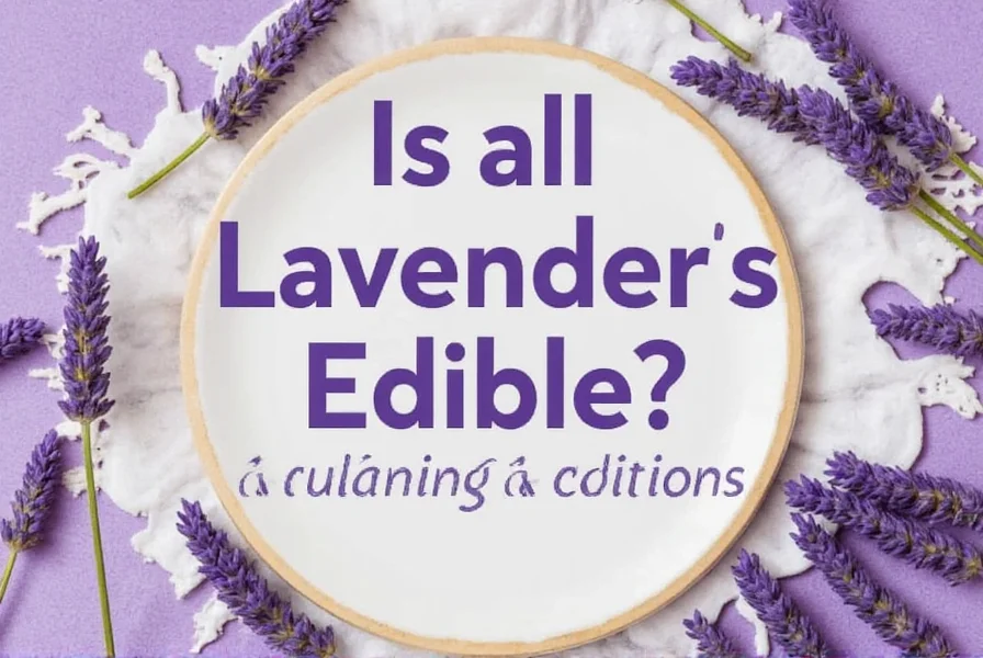 Comparison of different lavender varieties