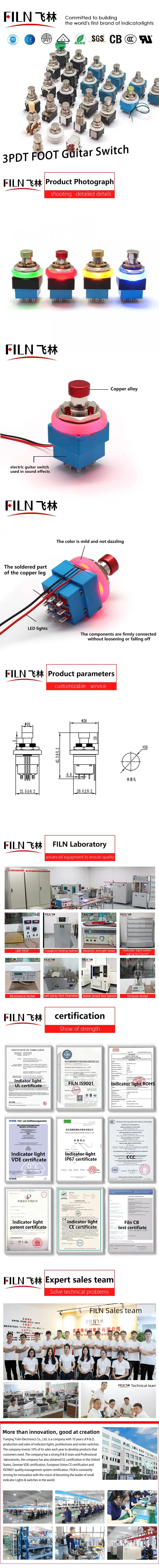 3dpt switch LED.jpg