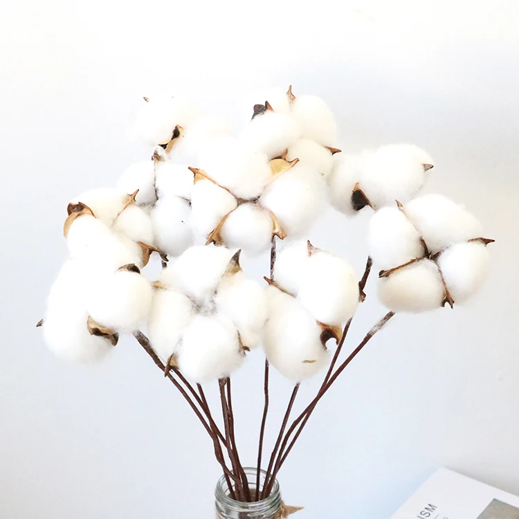 

2023 Wholesale INS Boho Cotton Home Decor Single Flower 100% Pure Dry Cotton Flower Bouquet