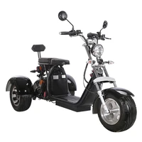 

electric chinese 3 wheel motorcycle with roof for adults