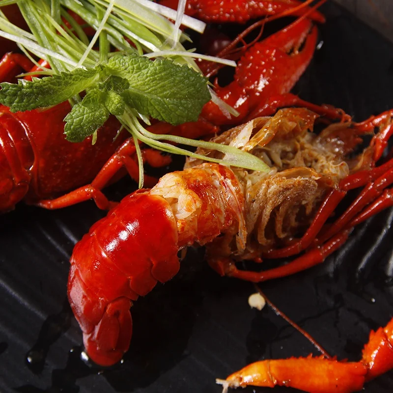 
High Grade Cooked Lobster Crayfish Available at Low Market Price 