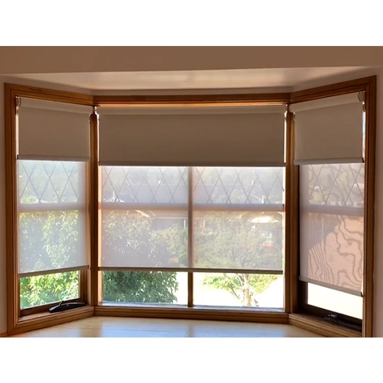 Motorized Double Layer Curtain Electric Window Double Day and Night Roller Blinds