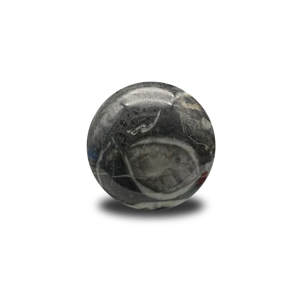 

Wholesale Thousand Eye sphere Stone high quality fossil Shell Jasper for healing crystal balls