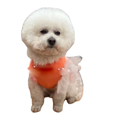 

Fashion Spring Summer Pet Lace Clothes Dog Dress Cute Breathable Fat Dog Stretch Teddy, White