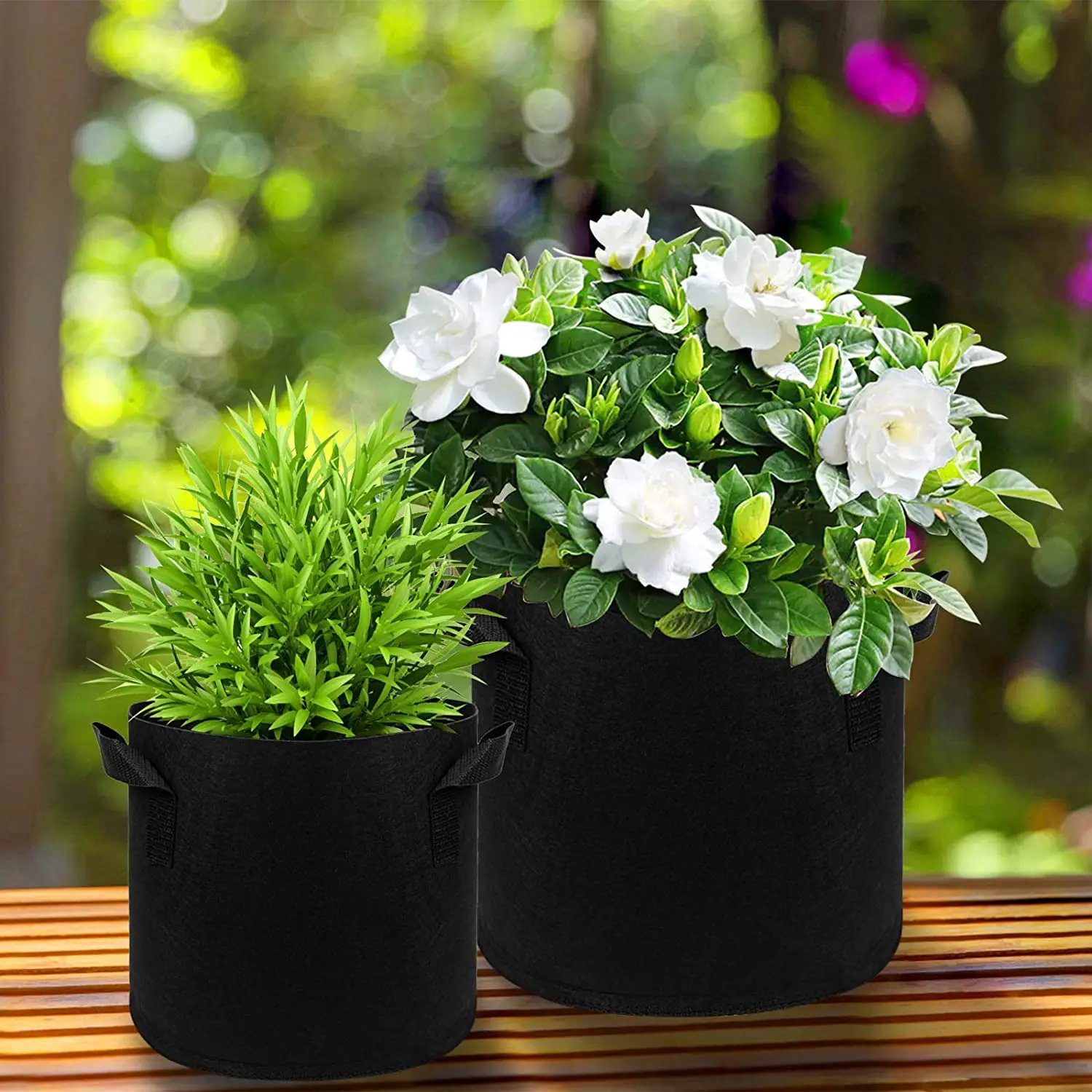 

5 gallon gardening plant grow premium quality felt fabric garden grow bags, Green/black